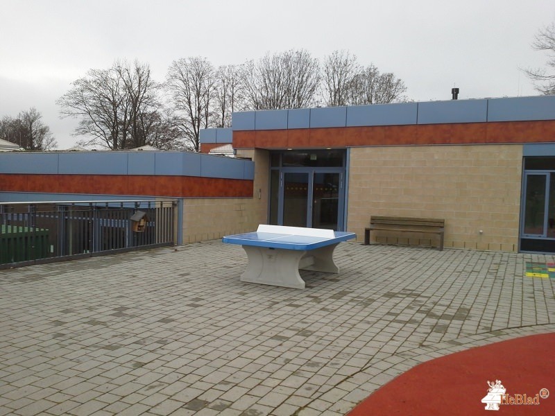 Grundschule Falkenstein c/o Förderverein  aus Königstein