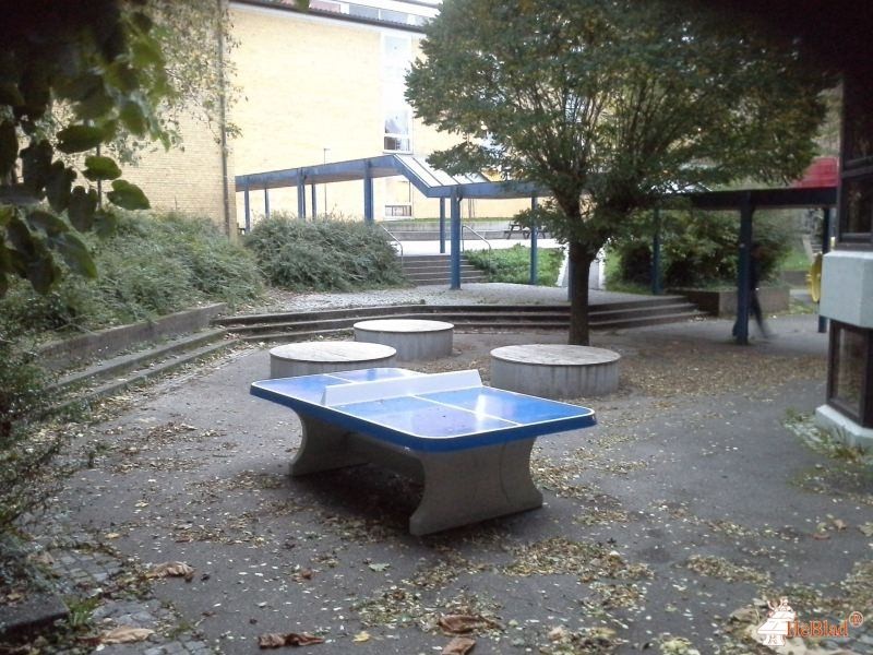 Friedrich-Abel-Gymnasium aus Vaihingen/Enz