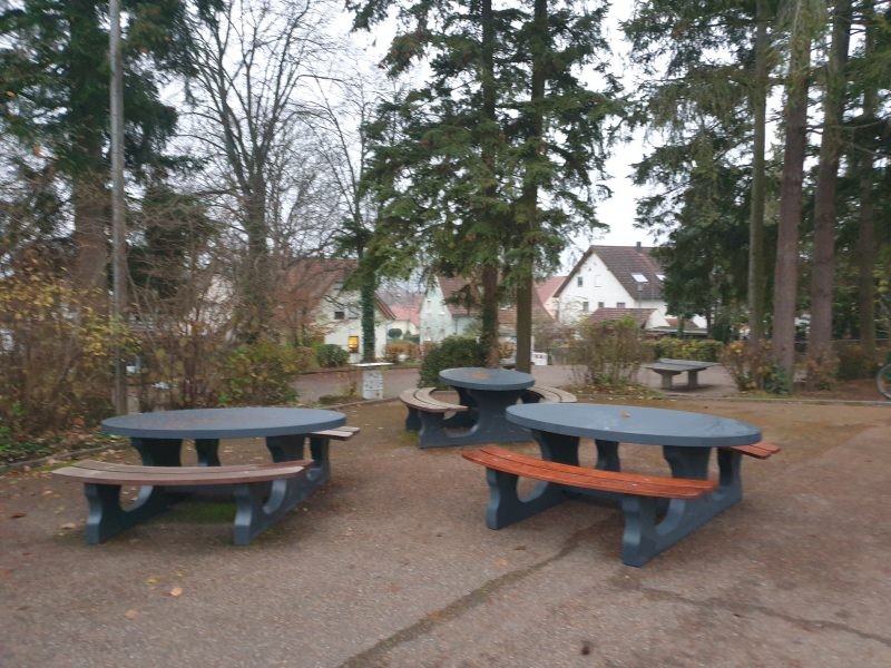 Förderverein Horneckschule Gundelsheim aus Gundelsheim