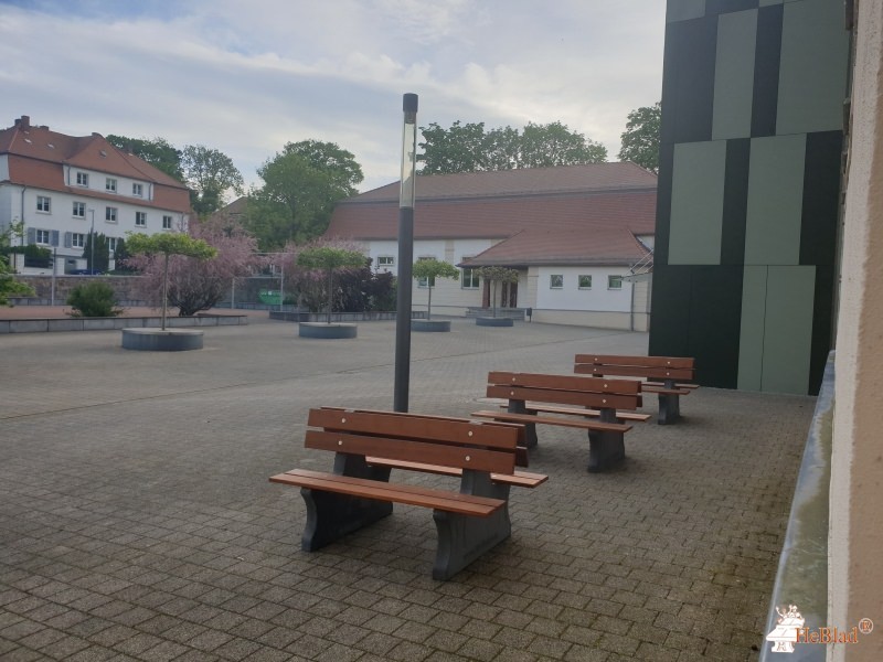 Gymnasium aus Borna