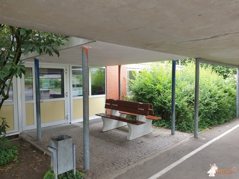 Nibelungenschule Hofheim aus Lampertheim (Hofheim)