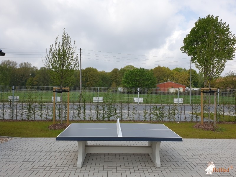 Reining Transport aus Bruggen