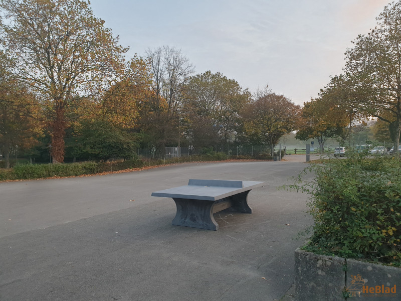 Gymnasium an der Wolfskuhle aus Essen