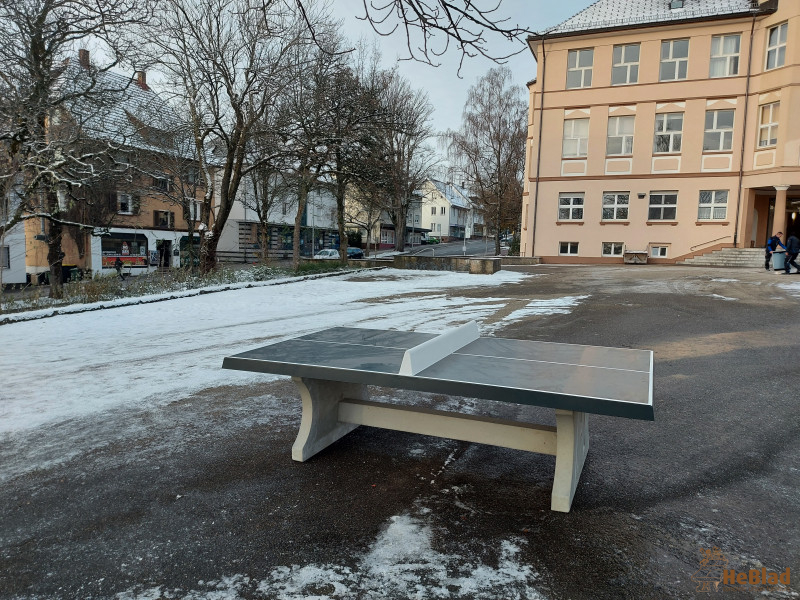 Falkenrealschule Freudenstadt aus Freudenstadt