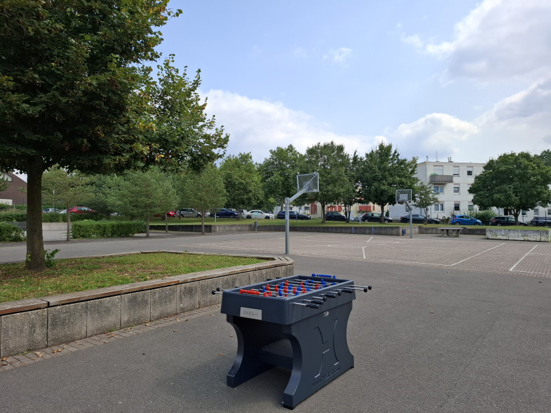 Wirtschaftswissenschaftliches Gymnasium und Saarland-Kolleg aus Saarbrücken