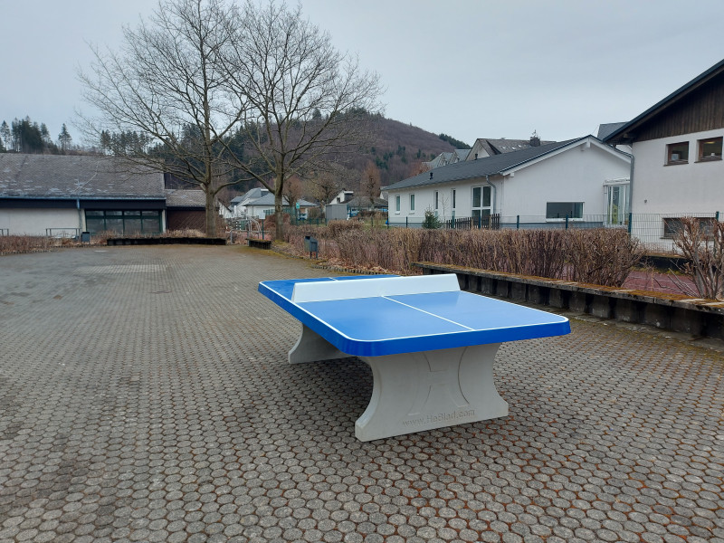 Uplandschule aus Willingen